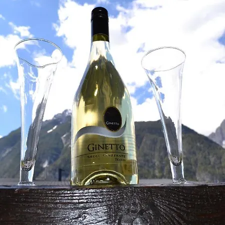 Andys Bergblick * Leutasch