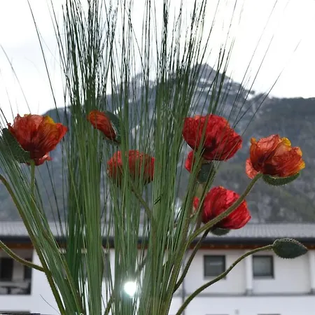 Apartamento Andys Bergblick